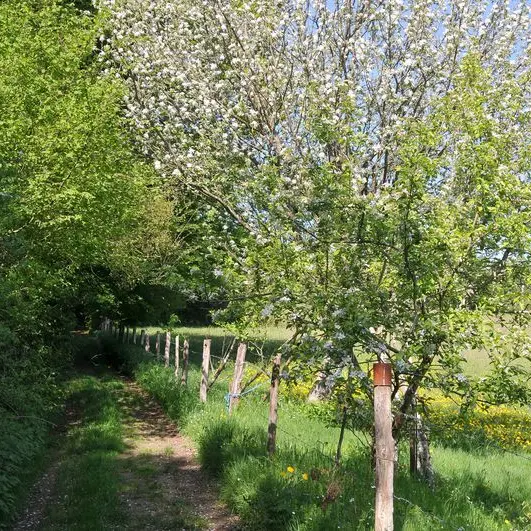 Sentier des forges et des moulins_1