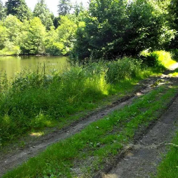 Chemin de Caux - La Mazière_1