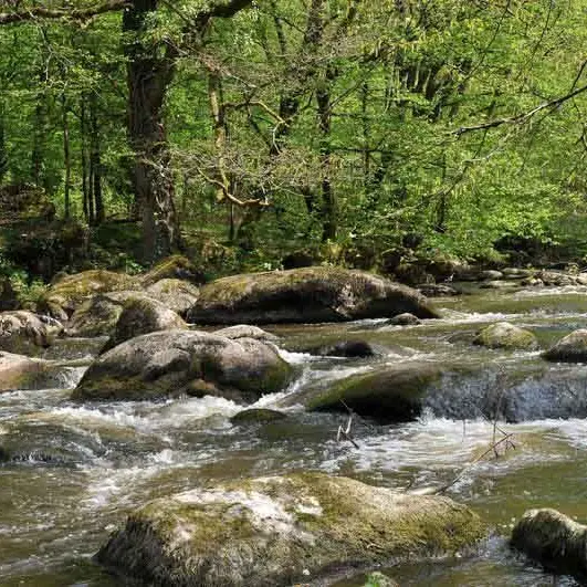 Sentier des Feutrières_1