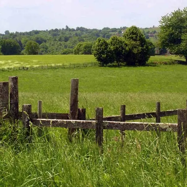 Circuit des mines d'or de la forêt de Champ Vert_1