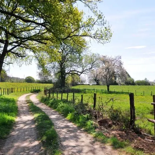 Circuit des étangs_1