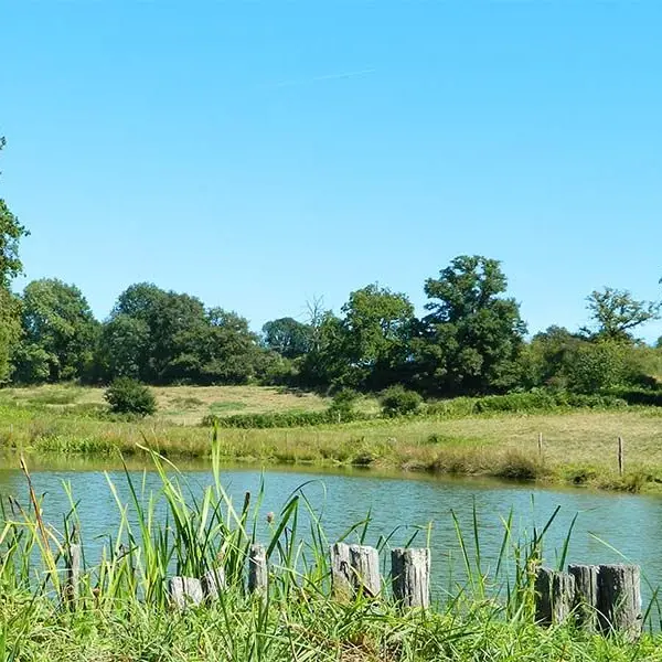 Entre coteaux et vallées_1