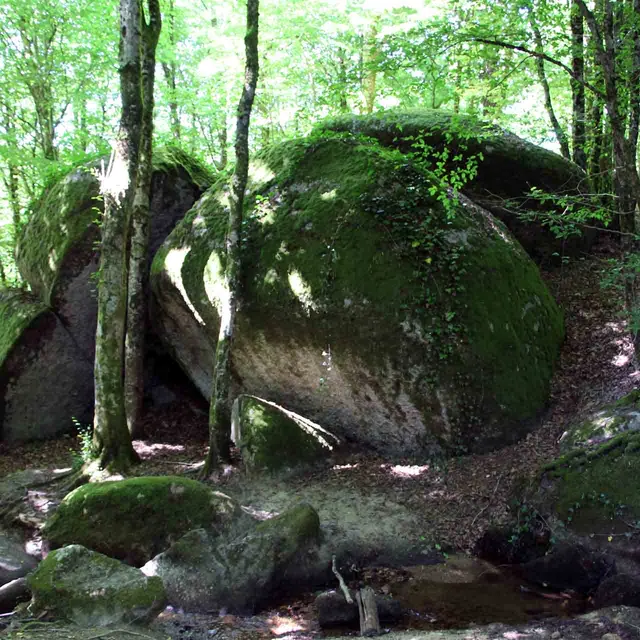 Sentier les Aubespins_1