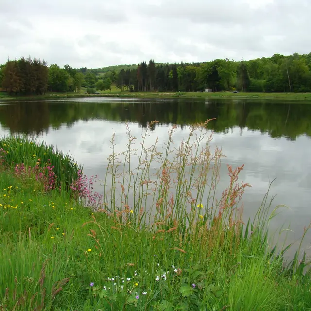 La pierre de Neuvic_1