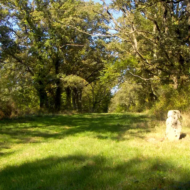 Circuit du Prince Noir_1