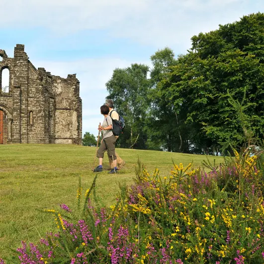 Chemin de Sussac au Mont Gargan_1