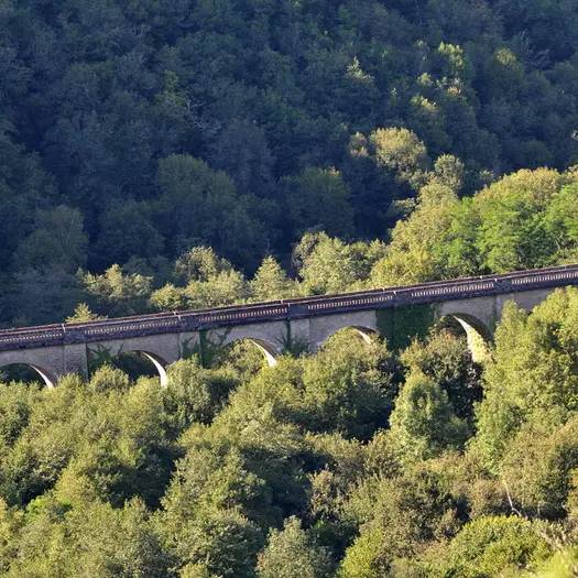 Sentier des gorges de la Vienne_1