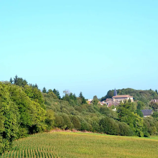 Sur les pas d'Henri de Navarre_1