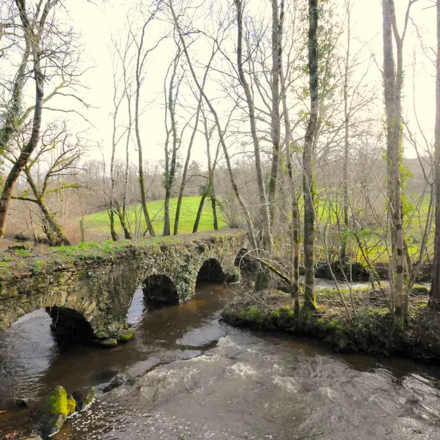 Chemin du moulin du Pont_1