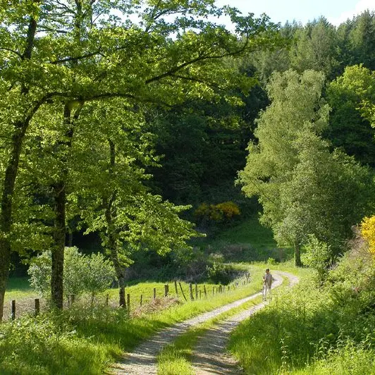 Sentier des étangs à Saint-Gence_1