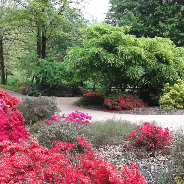 Sentier Bastide-Uzurat_1