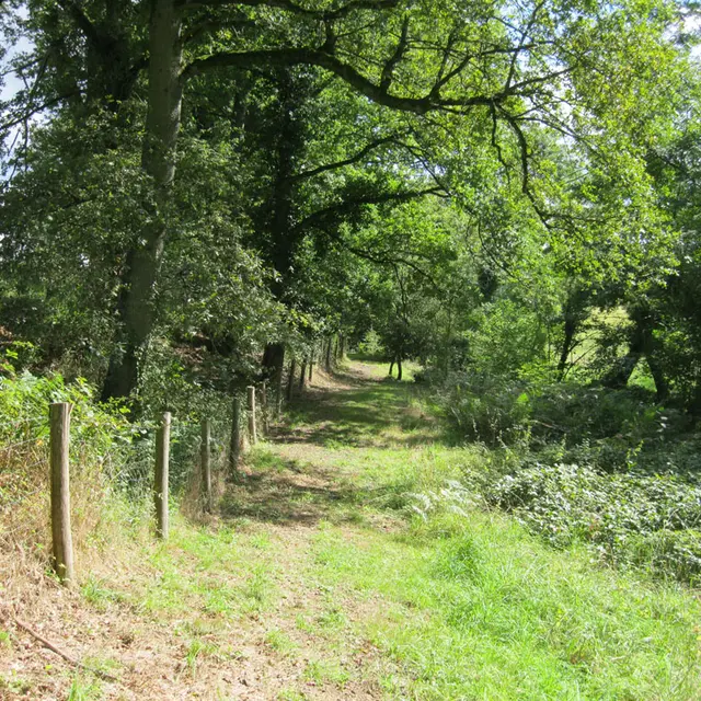 Liaison parc du Mas-Jambost - Bois des Vaseix_1