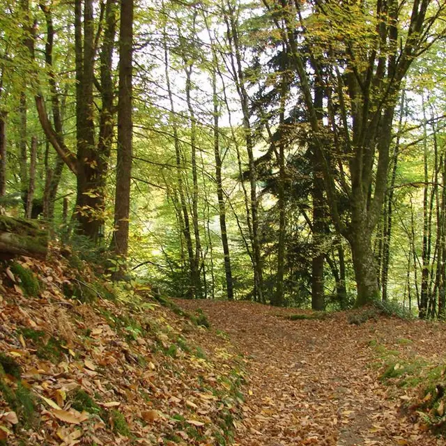 Sentier des carrières_2