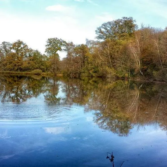 Sentier de Neuplanchas_1