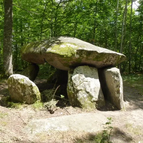 dolmen de Bouéry_1