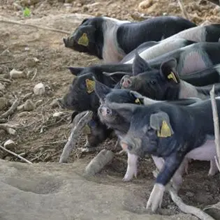 GAEC Les Réserves_1