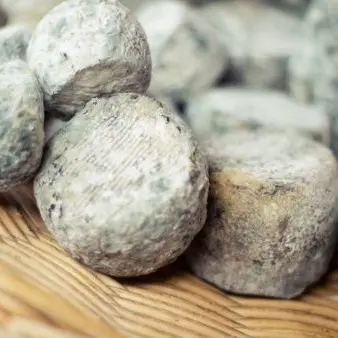 Fromage de chèvres ferme du Puy Faucon_1