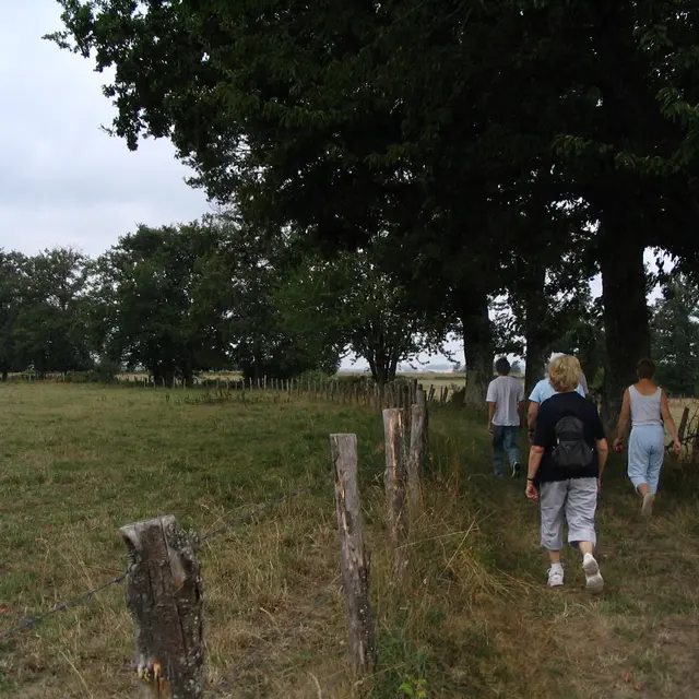 Liaison Flavignac - Les Cars_1