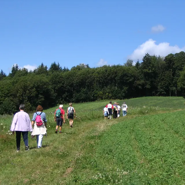 Randonneurs sur le chemin qui mène au Grand Puyconnieux_1
