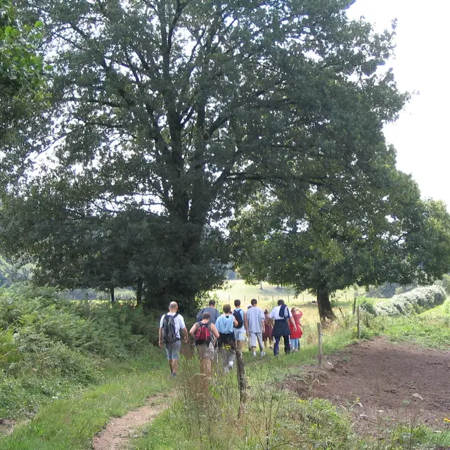 Chemin de randonnée_1