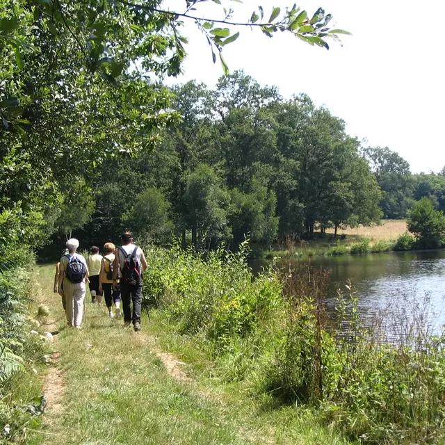 Sentier de randonnée, passage chaussée de l'étang de Chenevières_1