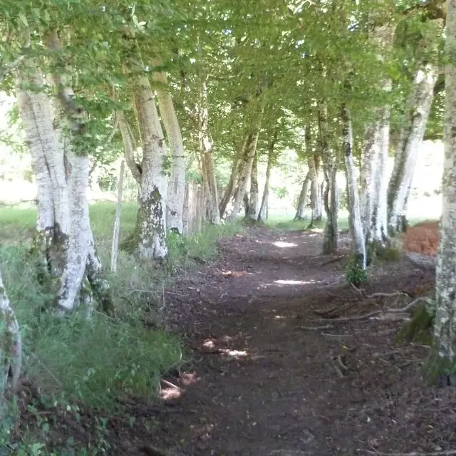 Sentier de Meilhac_1