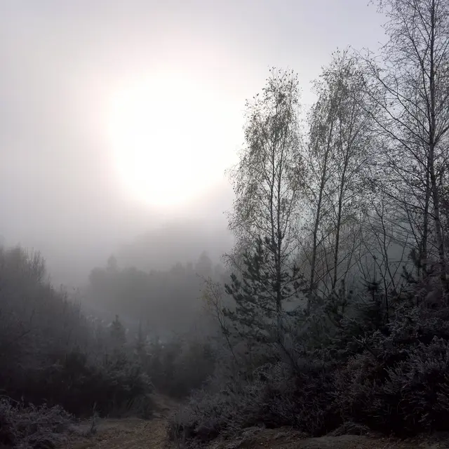 Base Uni'Vert Trail des Monts d'Ambazac - Le sentier de l'Ermite_1