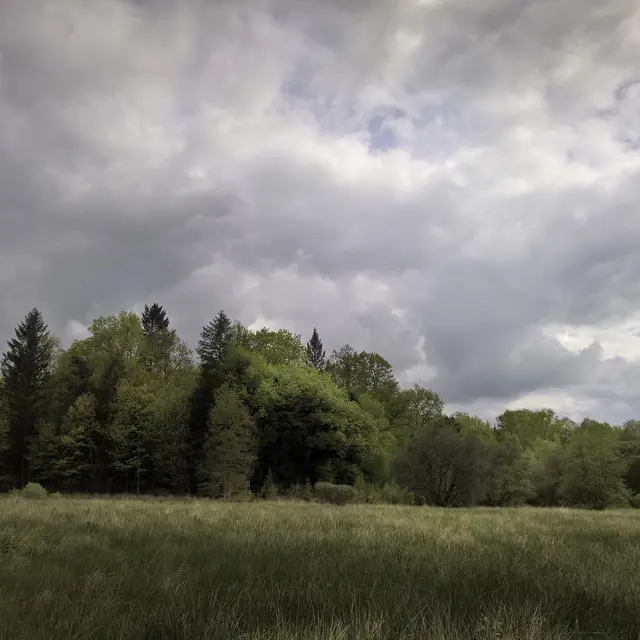 Base Uni'Vert Trail des Monts d'Ambazac - Le sentier des Puys_1