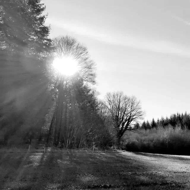 Base Uni'Vert Trail des Monts d'Ambazac - Le sentier des bonshommes_1