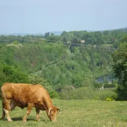 La Ferme du Bas Château_1