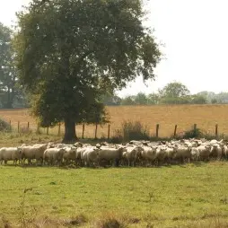La Ferme des Palennes_1