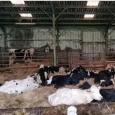 La ferme du coudert_1