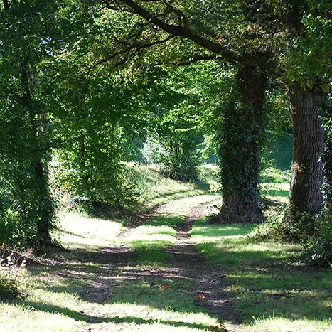 La Boucle de Bosmie l'Aiguille - Circuit n°3 Val de Vienne Tour_1