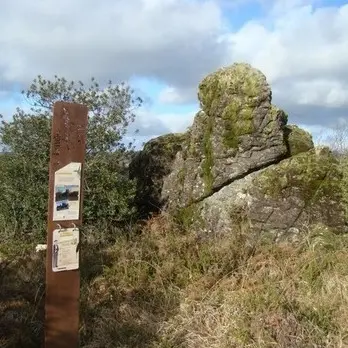 Landes des pierres du mas_1