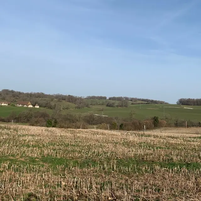 Boucle cyclotouristique La forêt de Meuzac_1