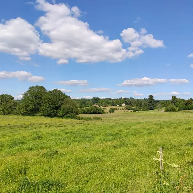 20210611152807-a8519850-la