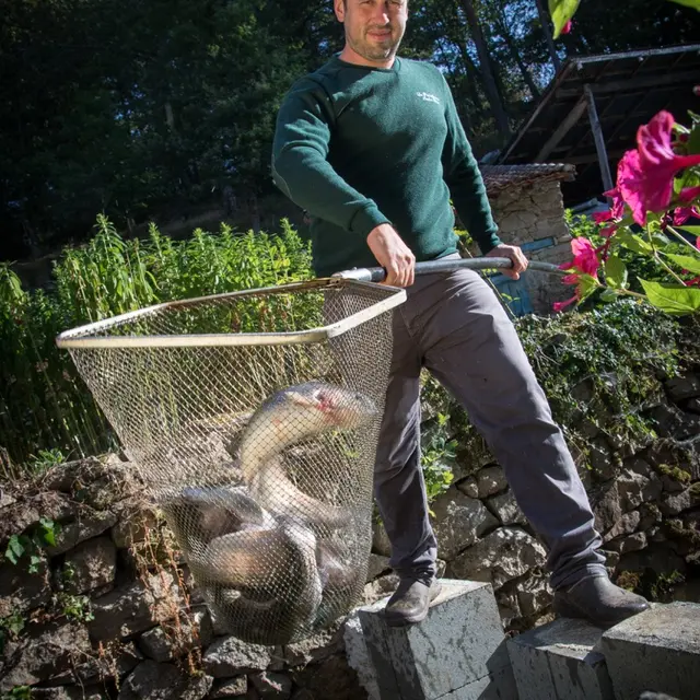 Pisciculture des Saules Blancs_1