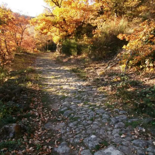 Circuit Uni'Vert Trail n°3 Via Agrippa_1