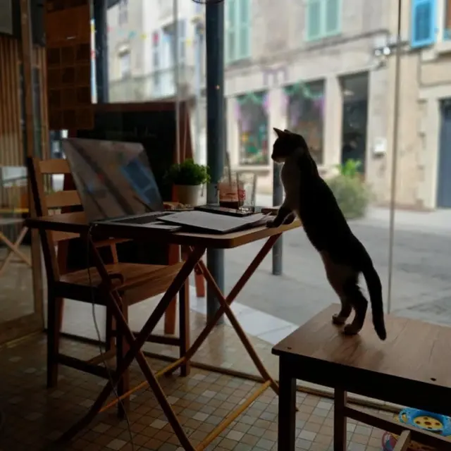 Tchica Café et ressourcerie Bellac