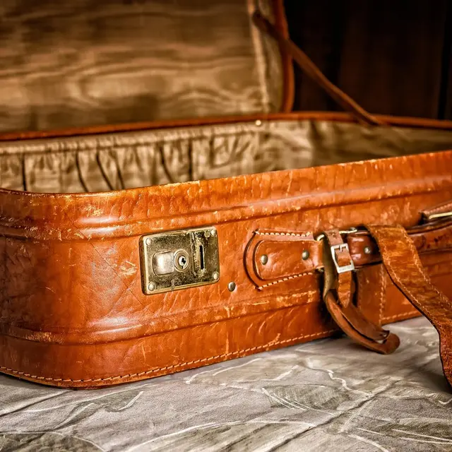 tama66-suitcase-3297015_1280