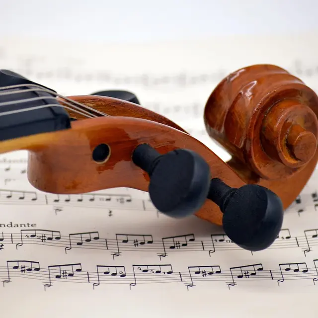 violon notes de musique