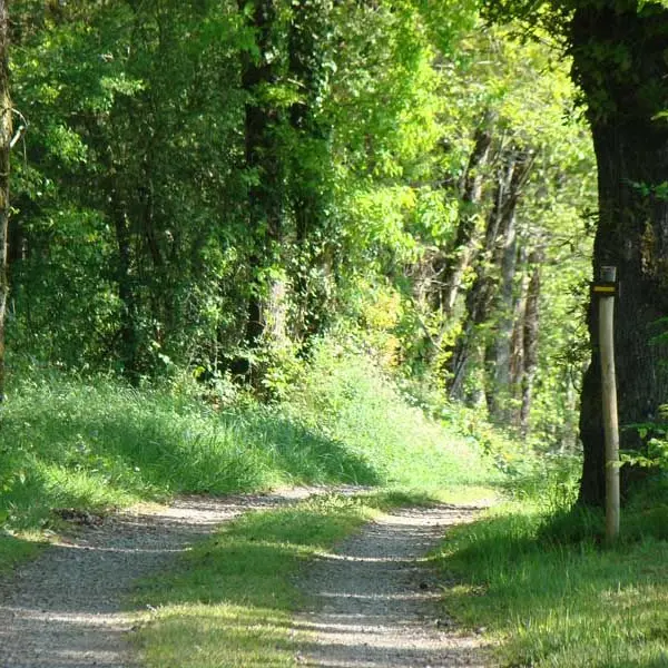 Circuit des rives de la Charente_1