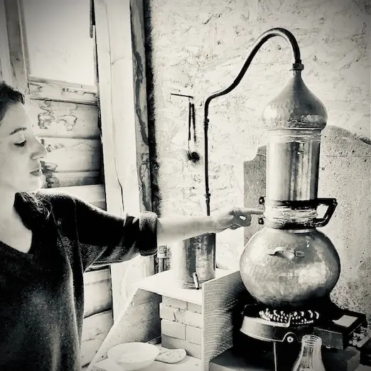 Découverte de la distillation de plantes médicinales