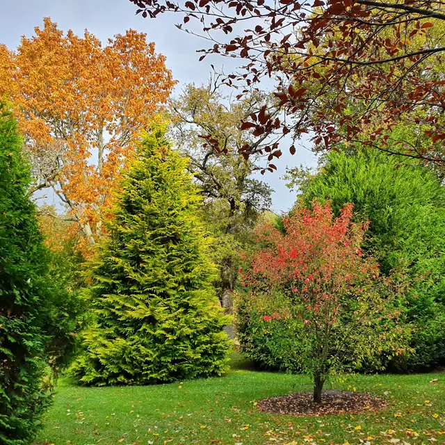 Arboretum communal