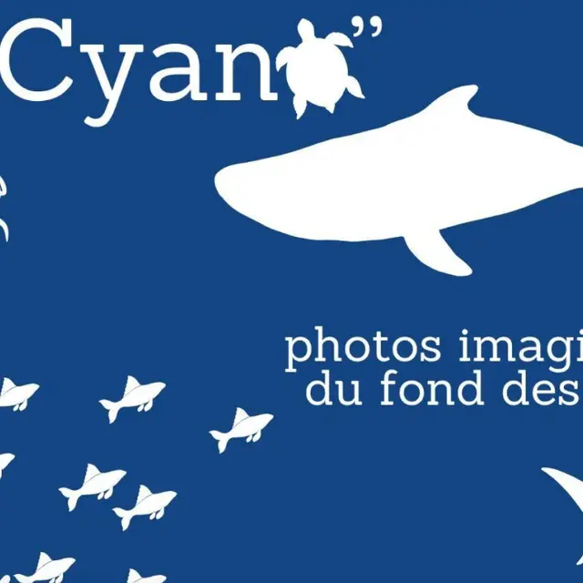 l'oCyano