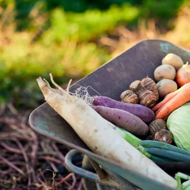 La ferme de la BJ - Pageas