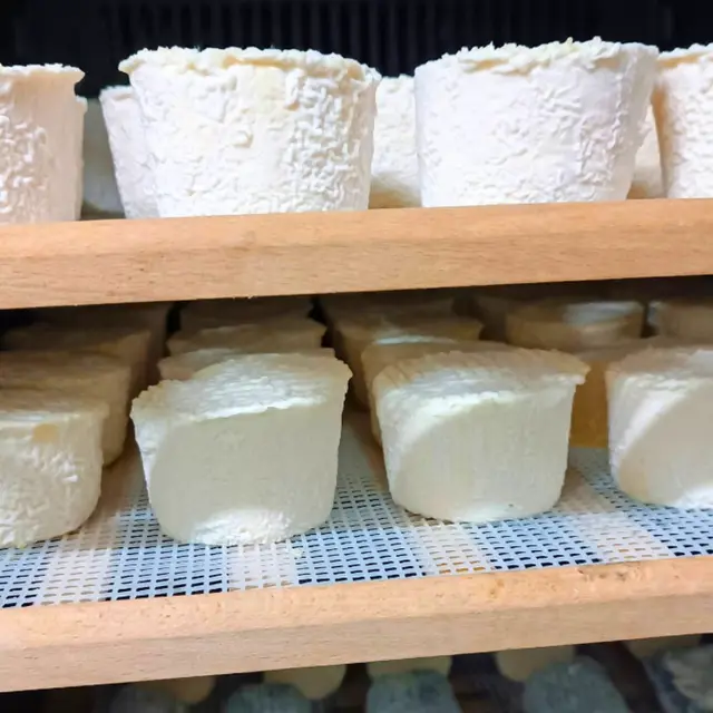 Fromagerie Seiler - Bussière-Galant