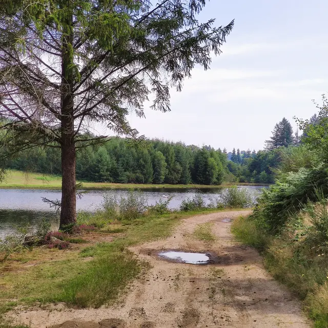 Champnétery - Étang de Grosland