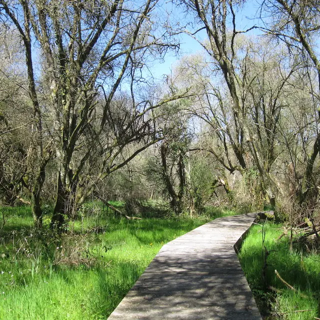 Chemin Yourcenar au début du printemps
