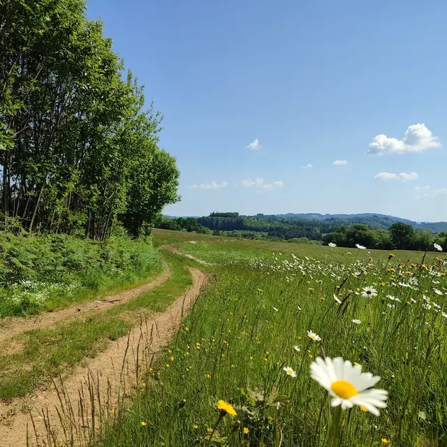 Chemin de la Goutte - Cheissoux
